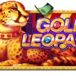 Play Star game