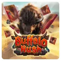 Advant Play Buffalo Rush